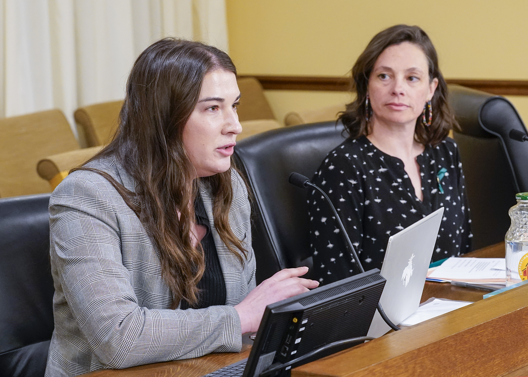 Laura Schreiber, government relations director at the Land Stewardship Project, testifies before the House environment committee April 9 in support of a bill sponsored by Rep. Kristi Pursell, right, to require environmental impact statements for large animal projects. (Photo by Andrew VonBank)